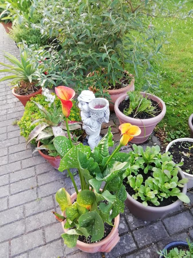 Ferienwohnung Borchert Rathenow Exterior foto